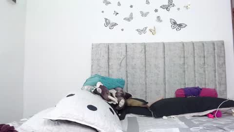 margare_scarlett online show from January 10, 6:12 pm