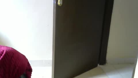 Cate online show from November 24, 7:10 am