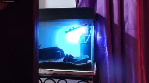 Max online show from March 9, 2:15 am