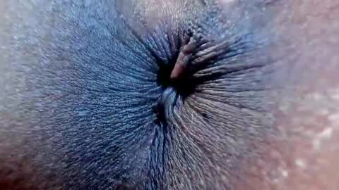 Megan online show from October 21, 12:14 am