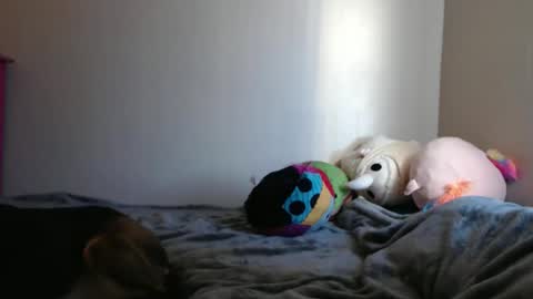 Megan online show from October 17, 5:16 pm