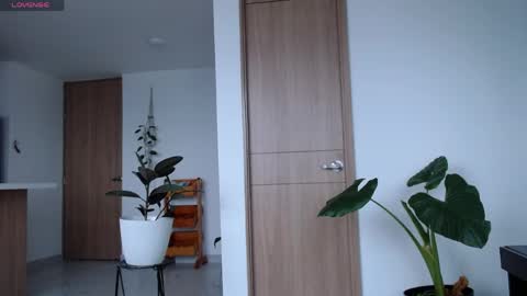 Megganfoxxy 02 online show from April 27, 5:54 pm