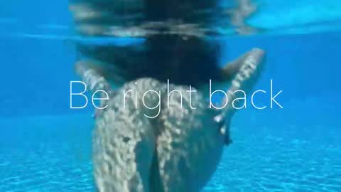 Adel online show from October 24, 8:05 pm