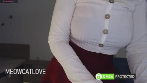 Snapshot of meowcatlove chatting on March 12, 9:03 pm meowcatlove online show from March 12, 9:03 pm