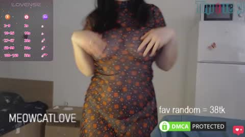 Snapshot of meowcatlove chatting on February 8, 10:19 pm meowcatlove online show from February 8, 10:19 pm