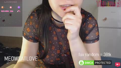Snapshot of meowcatlove chatting on January 23, 9:18 pm meowcatlove online show from January 23, 9:18 pm
