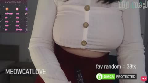 Snapshot of meowcatlove chatting on March 8, 6:35 pm meowcatlove online show from March 8, 6:35 pm
