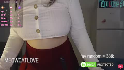 Snapshot of meowcatlove chatting on January 21, 4:05 pm meowcatlove online show from January 21, 4:05 pm