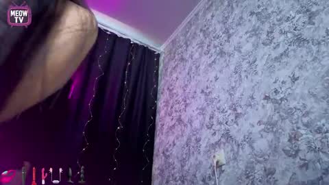 meowkami online show from May 18, 12:42 am