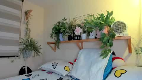 Miaa online show from January 19, 12:06 am