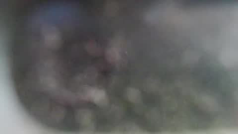 miafunny5 online show from January 6, 9:51 pm