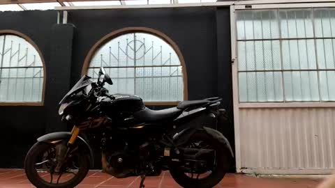 miaoconell online show from October 13, 6:21 pm