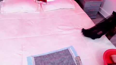 Mia Monroe online show from October 8, 4:22 pm