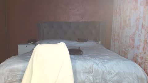 Misha online show from January 11, 2:55 pm