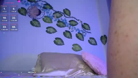          online show from March 31, 2:00 am