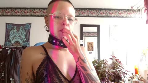 Anarkitten  online show from April 9, 7:52 pm