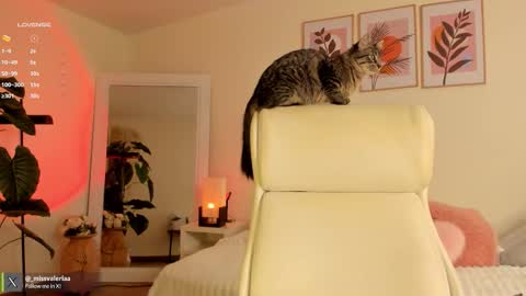 Valeria Davila online show from December 1, 1:03 pm