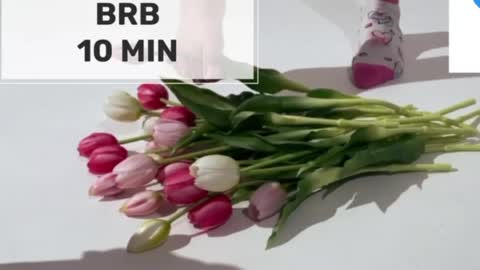 Mommy online show from May 18, 1:37 am