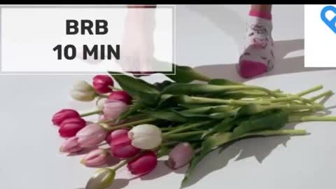 Mommy online show from December 18, 2:27 am