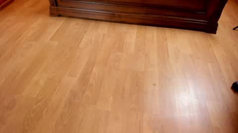 Monika NO c2c ever. PVT free Naked Fingering pussy doggy or standing BJ HJ Feet Fashion. PVT extra Toy control 400tk. online show from January 22, 7:24 pm