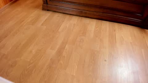 Monika NO c2c ever. PVT free Naked Fingering pussy doggy or standing BJ HJ Feet Fashion. PVT extra Toy control 400tk. online show from January 25, 7:27 pm