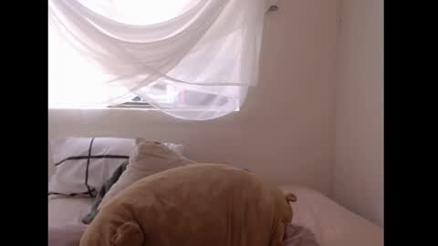   online show from April 6, 6:42 pm