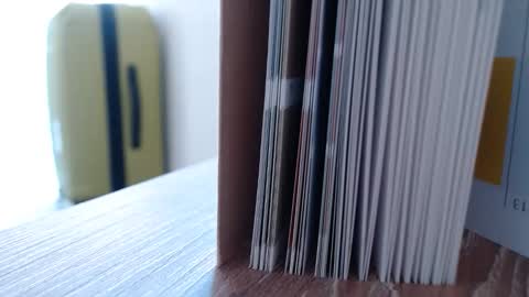   online show from October 31, 3:38 pm