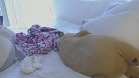   online show from December 5, 3:57 pm