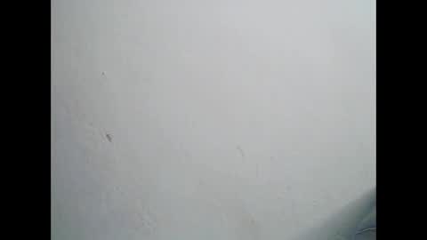 nah296652 online show from May 26, 8:24 am