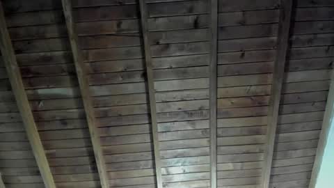 Nasha online show from November 21, 10:56 pm