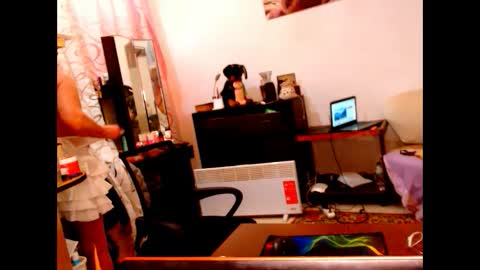 natali online show from January 26, 10:34 am