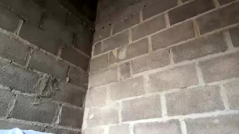 natasha__magics online show from February 1, 5:12 pm