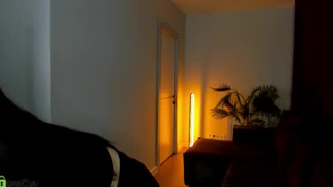 Natasha online show from March 31, 1:16 am