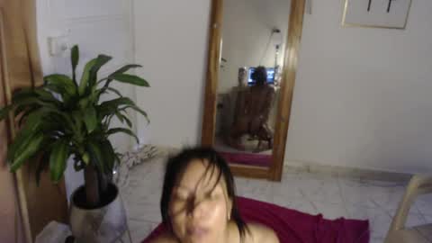 Stella Mcqueen online show from May 11, 2:45 pm