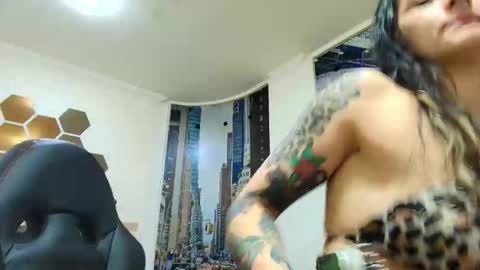 Kitten online show from March 25, 11:35 am