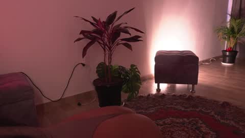 Nefertari online show from May 9, 1:35 pm