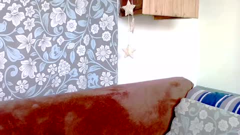 Snapshot of niki_leex chatting on February 11, 10:25 am niki_leex online show from February 11, 10:25 am