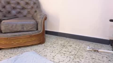  NIKY SMIT  online show from January 12, 11:26 am