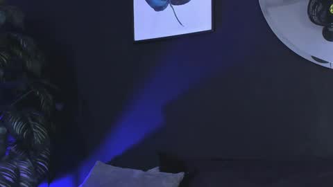 Noah  online show from December 4, 3:53 am