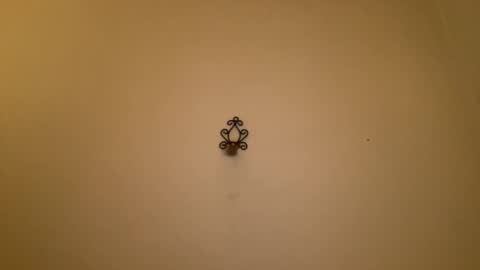 noscandal online show from February 21, 12:16 am