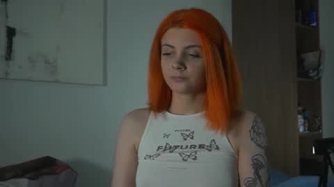 Nova online show from November 7, 7:19 pm