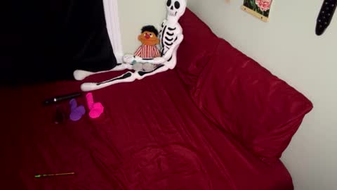 Nymphaea online show from October 25, 12:40 am