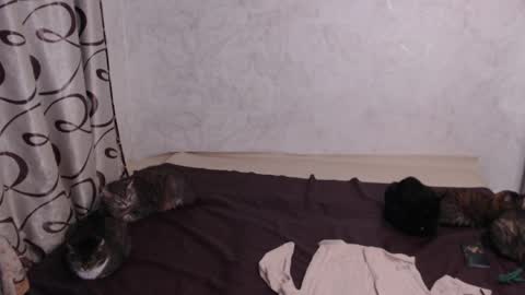 Olivia online show from April 27, 1:46 am