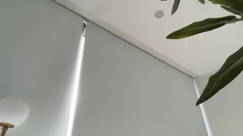 Olivia Brookes online show from November 27, 8:45 pm