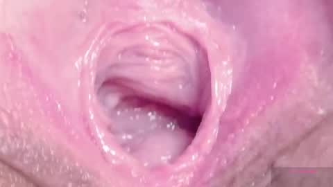 orchidekitty online show from March 8, 10:02 pm