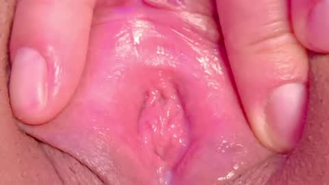 orchidekitty online show from May 22, 2:53 am
