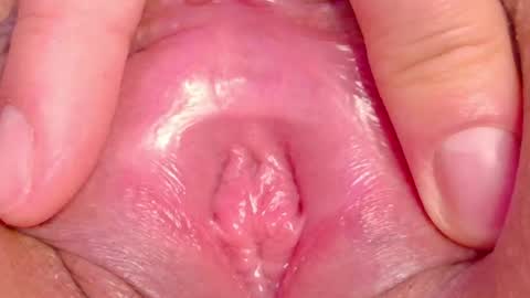 orchidekitty online show from May 28, 12:41 am
