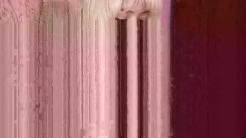 Paulina online show from November 8, 10:31 am