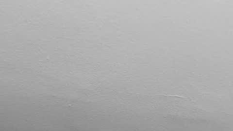 Snapshot of pamela_karim chatting on February 1, 9:51 pm Pamela karim online show from February 1, 9:51 pm