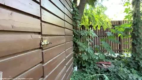 Andreea online show from July 14, 7:24 am